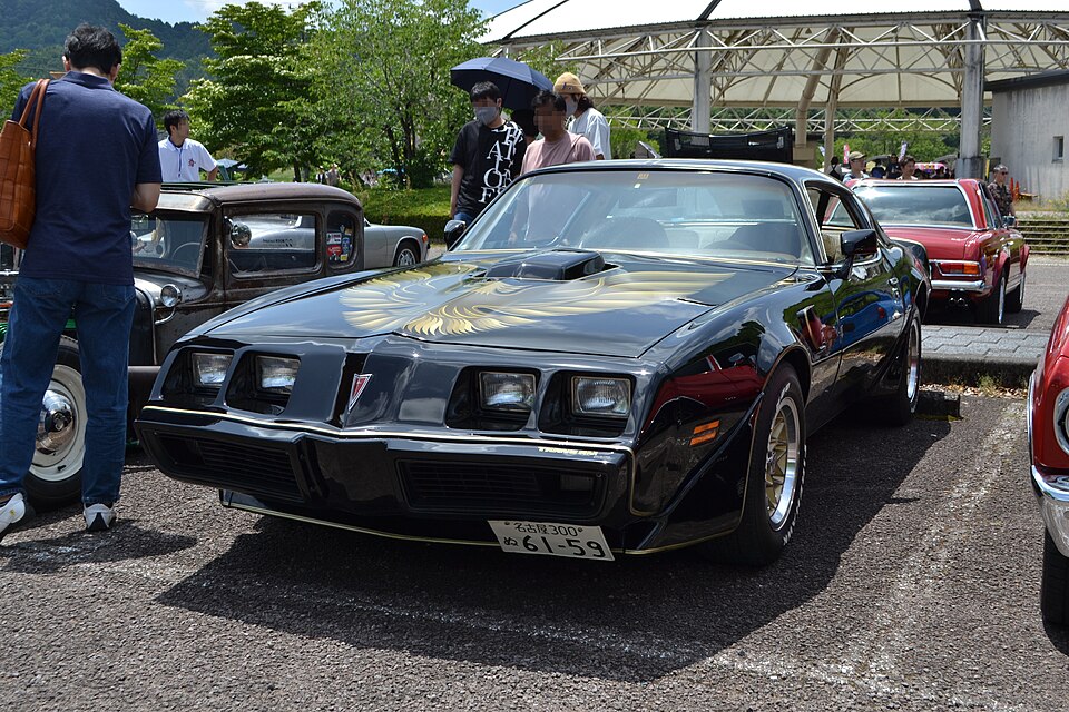 Black 1979 Pontiac Trans Am with the gold hood bird decal and snowflake wheels